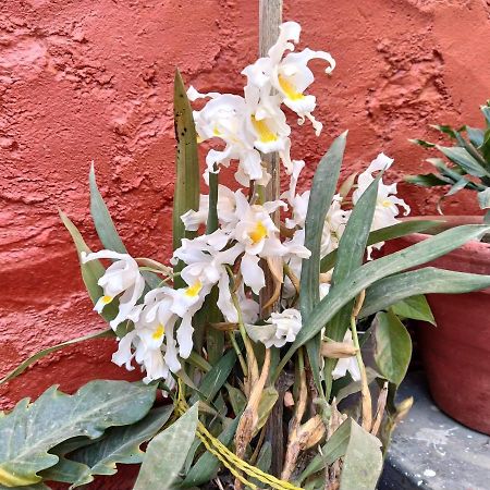 Bhattidanda Fresh & Natural Homestay Dhulikhel Ngoại thất bức ảnh