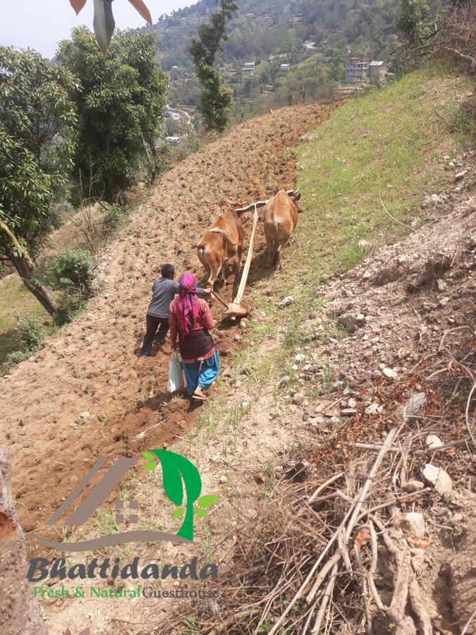 Bhattidanda Fresh & Natural Homestay Dhulikhel Ngoại thất bức ảnh