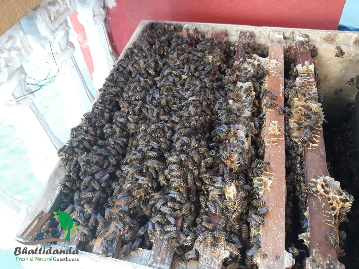 Bhattidanda Fresh & Natural Homestay Dhulikhel Ngoại thất bức ảnh